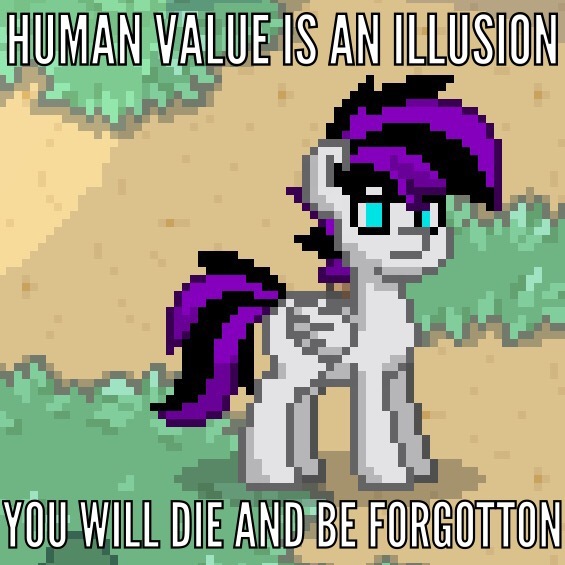 Human value is an illusion, you will die and be forgotton.