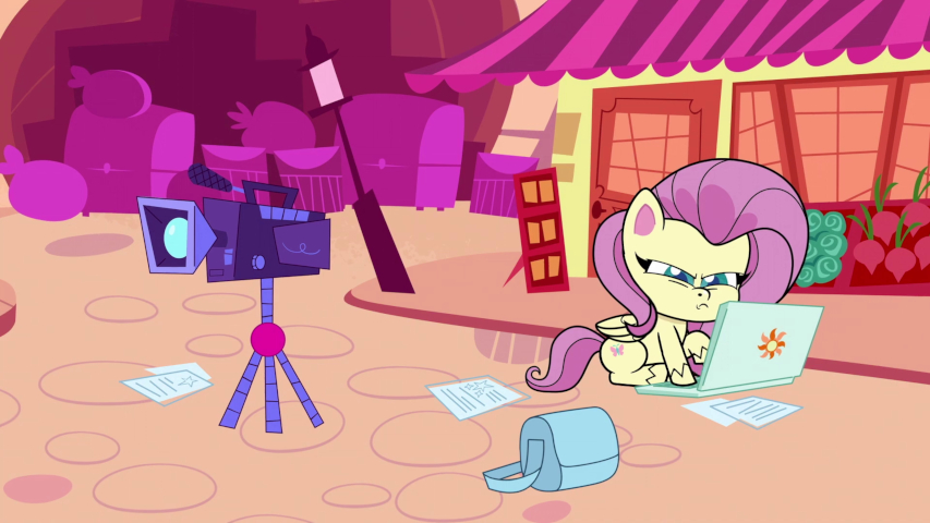Fluttershy on laptop