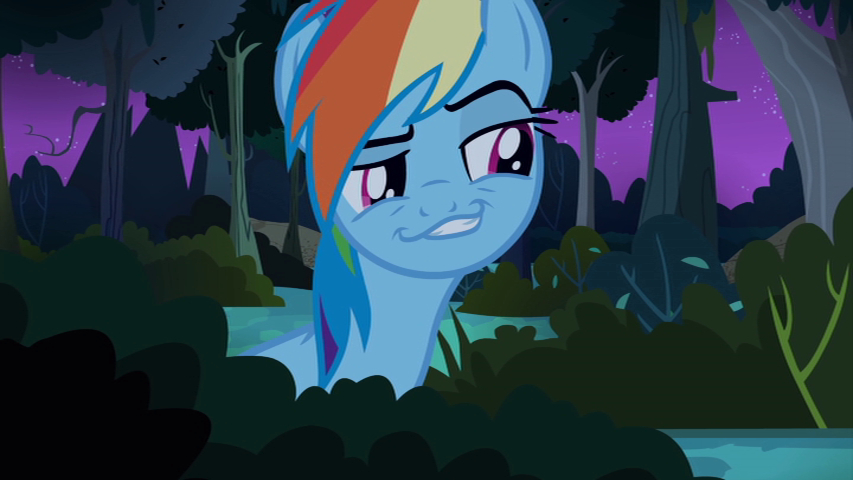 Rainbow Dash smirk