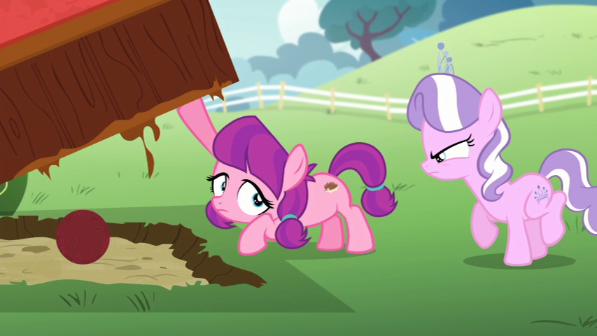 Cute filly