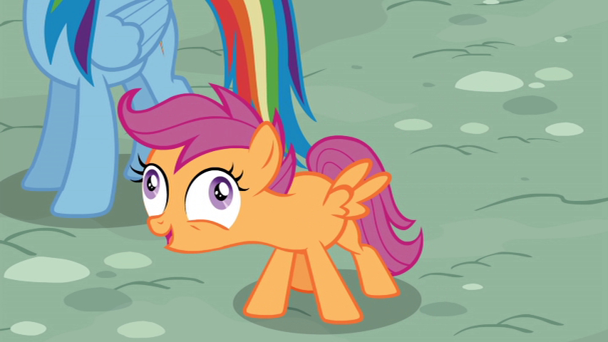 Excited Scoots